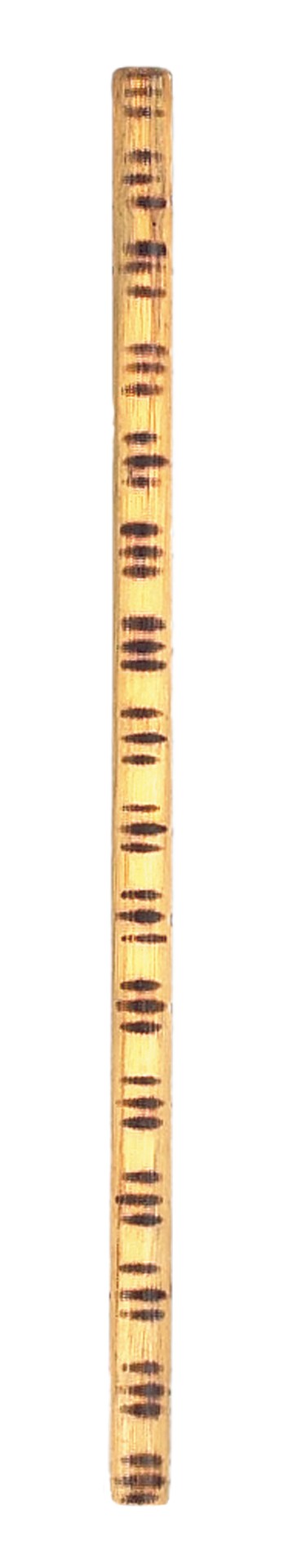 Kali / Arnis stick Rattan