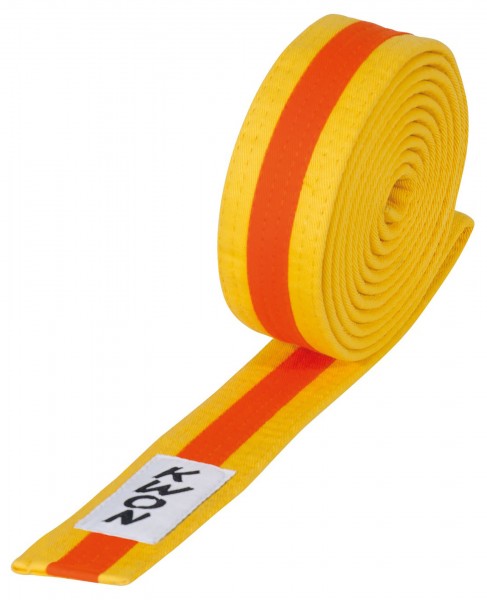 Cintura Arti Marziali due colori