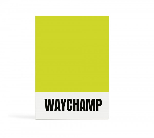 WAYCHAMP Tester calzini Professional - WT approvato