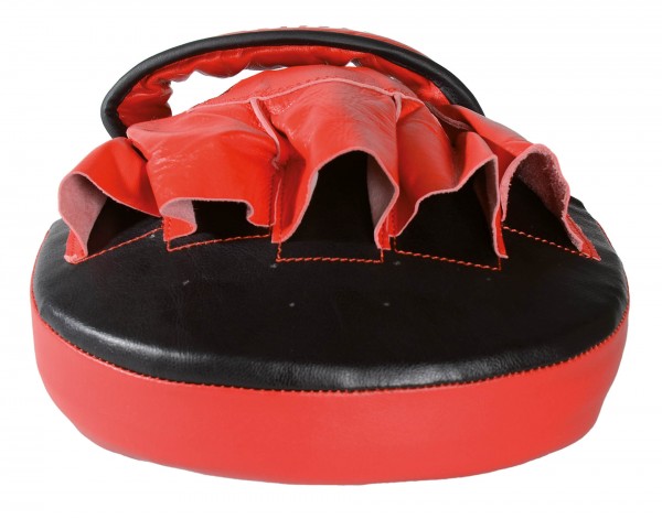 Dojo Line Guanti da Passata