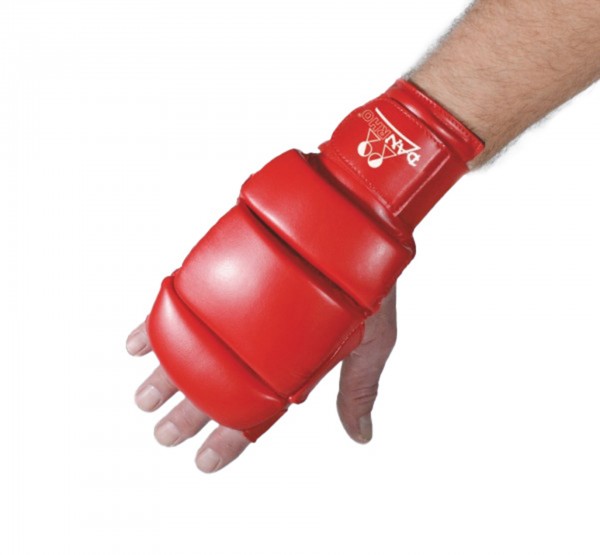 DANRHO Guantini Ju Jutsu