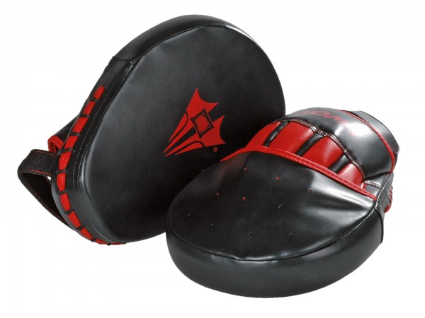 Coppia guanti da passata boxe kick boxing muay thai arti marziali