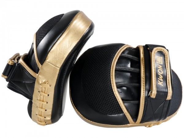 Guanti da passata Boxe Ultimate