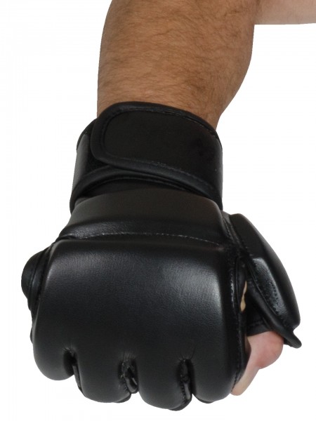 Guanti MMA Economico Principianti