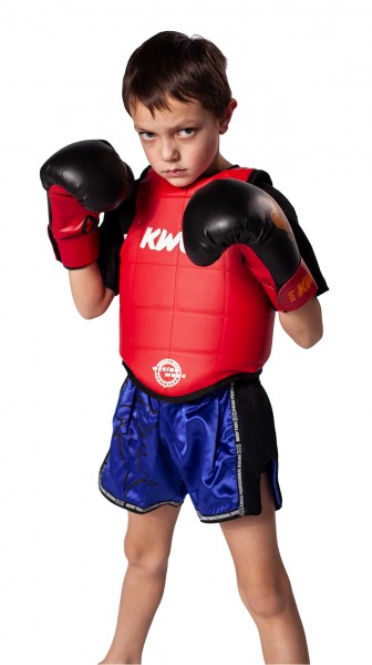 Corpetto Thai Boxing Amateur, Sanda Cinese reversibile