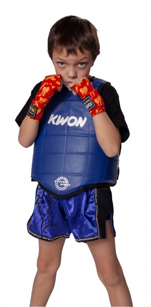 Corpetto Thai Boxing Amateur, Sanda Cinese reversibile
