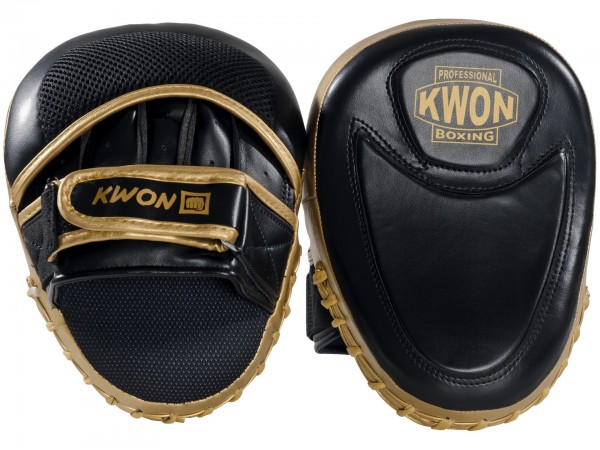 Guanti da passata Boxe Ultimate