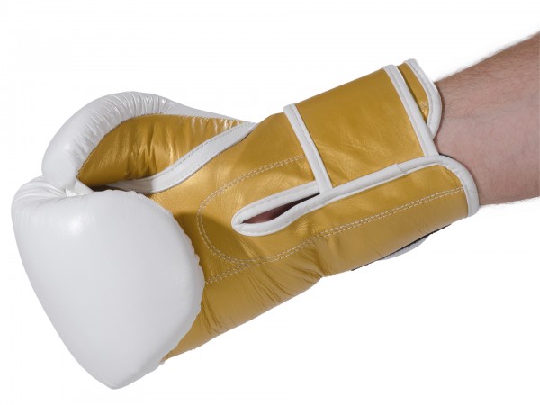 Guantoni Kickboxing KO Champ