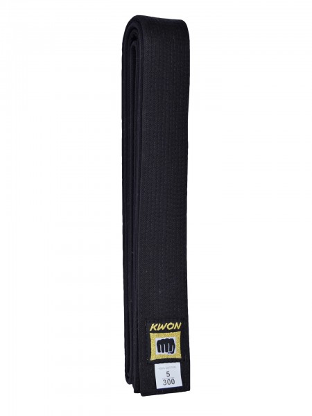 cintura nera karate arti marziali taekwondo maestro